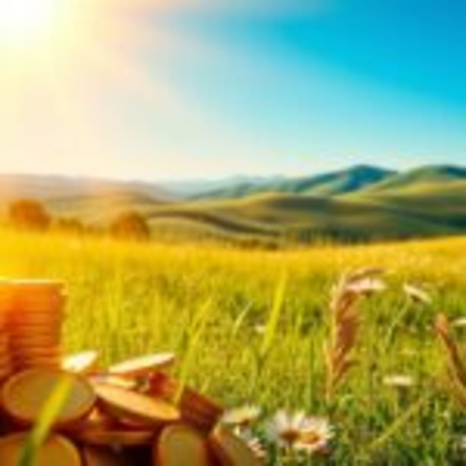 Como vibrar na frequência do dinheiro